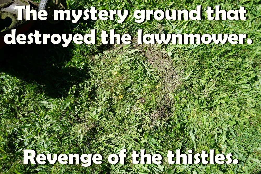 grass and mower