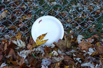 plate at fence